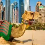 Top sights, tourist attractions and best things to do in Dubai UAE