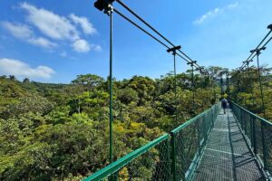 Best things to do in Monteverde Costa Rica
