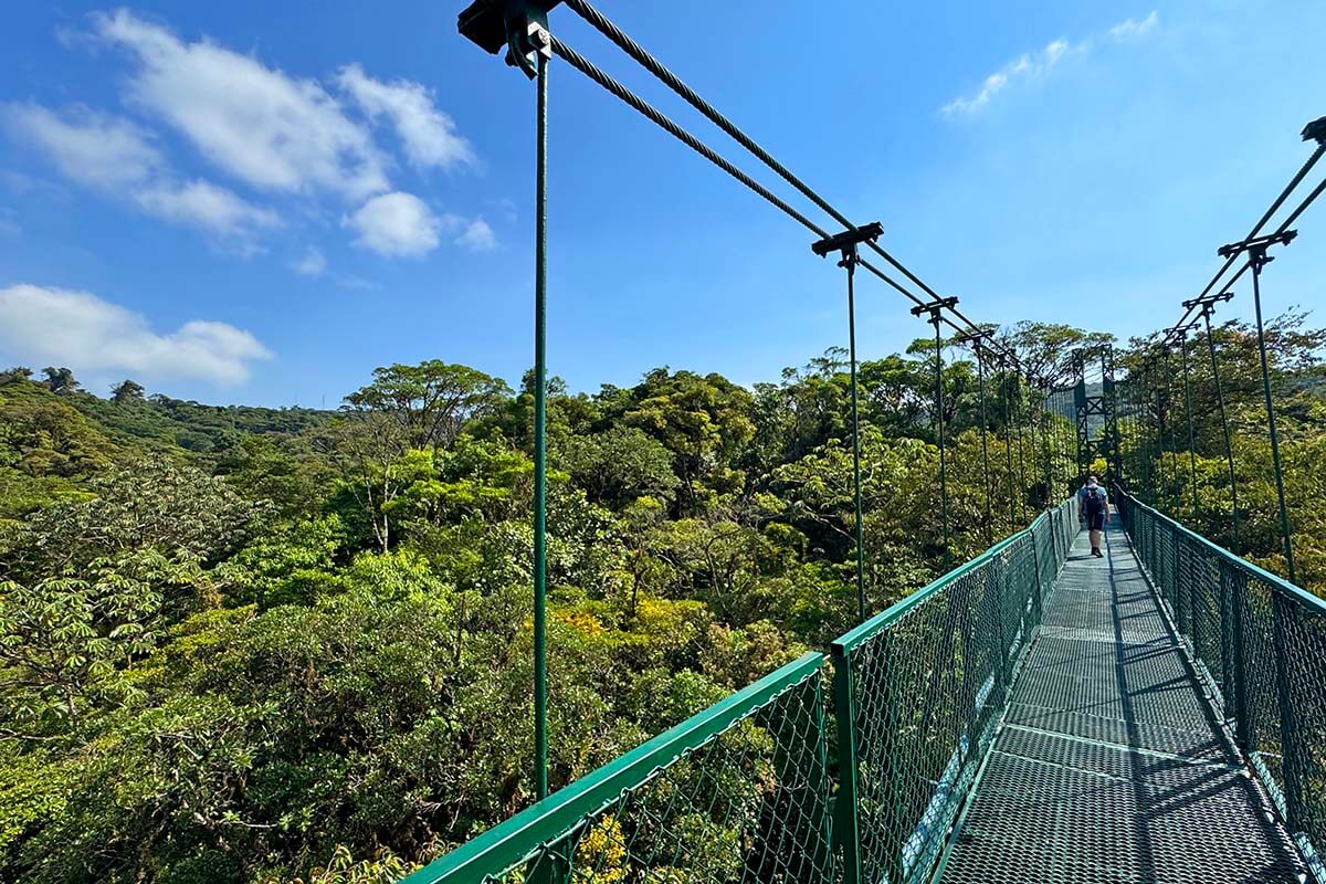 5 Absolute Best Things to Do in Monteverde, Costa Rica