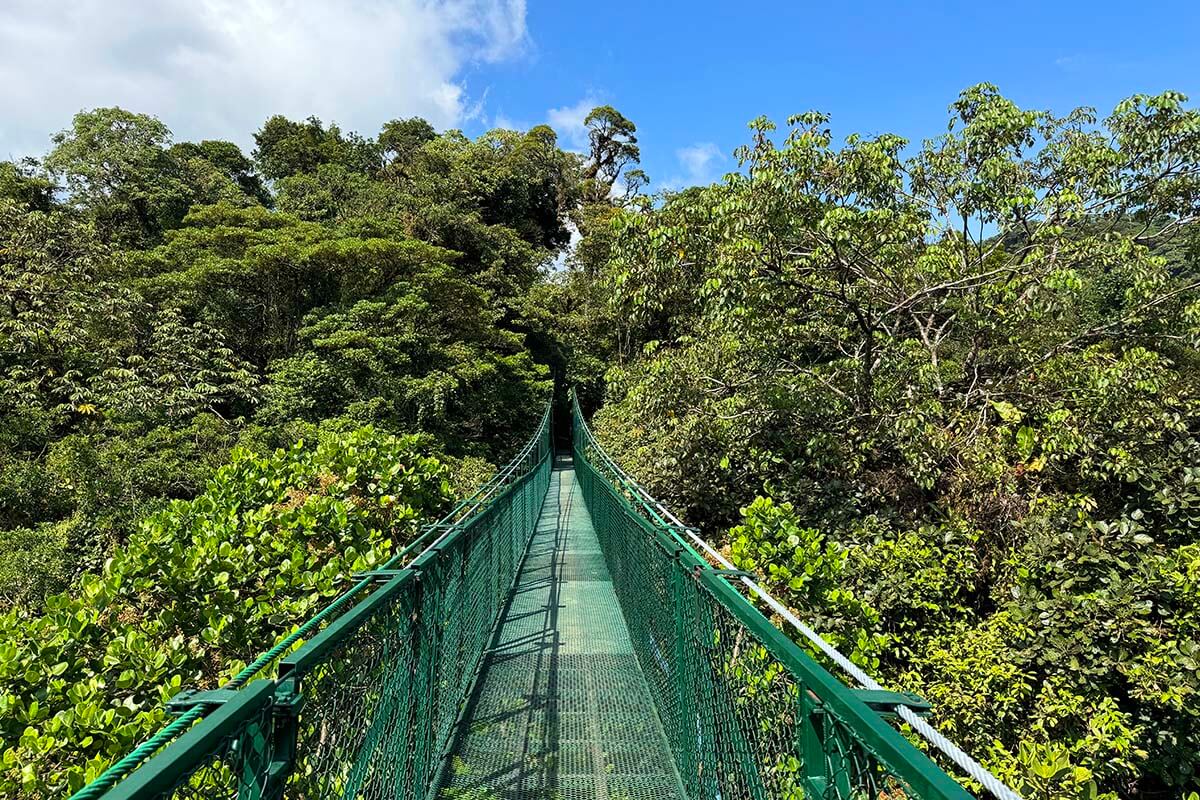 Monteverde hanging bridges - Selvatura treetop walk