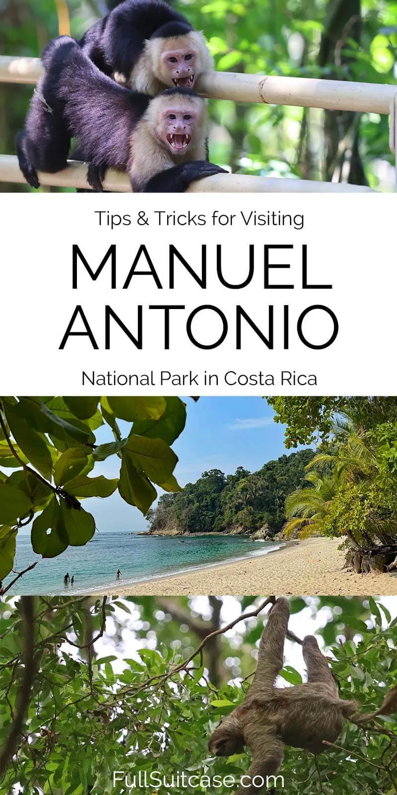Practical information and helpful tips for visitors to Manuel Antonio National Park in Quepos Costa Rica