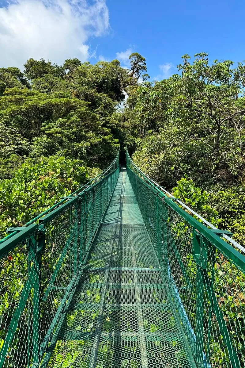 Selvatura hanging bridges in Monteverde Cloud Forest Costa Rica