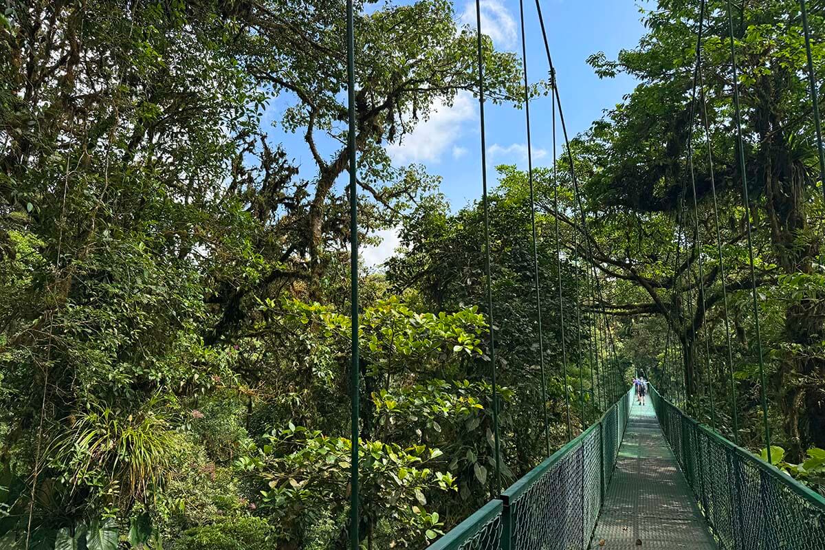 Selvatura treetop walk - best things to do in Monteverde
