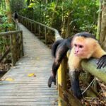 Tips for visiting Manuel Antonio National Park in Costa Rica