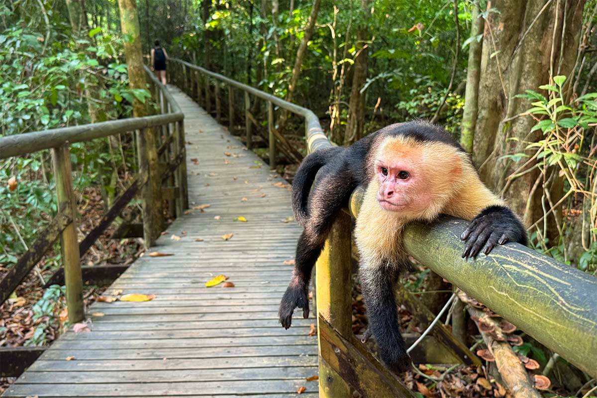 Tips for visiting Manuel Antonio National Park in Costa Rica