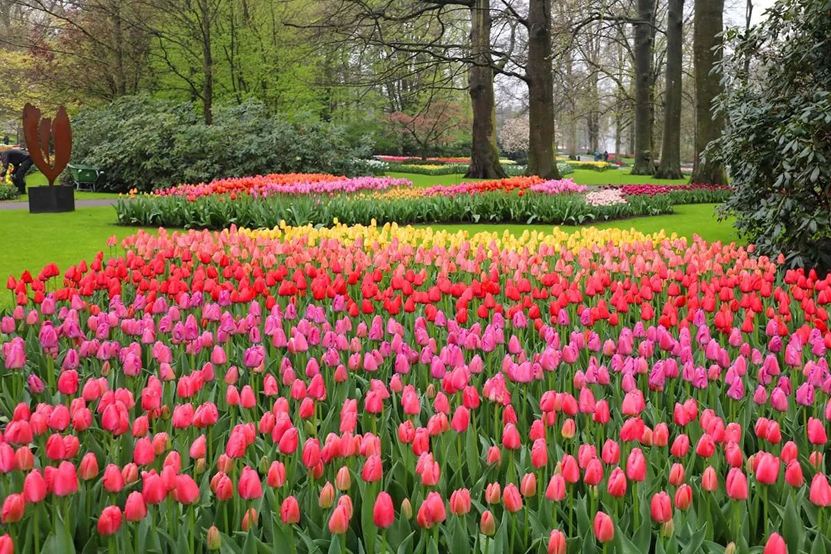 Fairy tale places in Europe - tulip gardens in the Netherlands