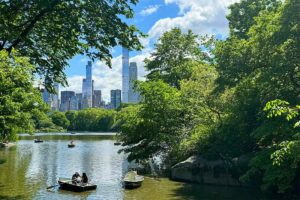 Best things to do and places to see in Central Park, New York City