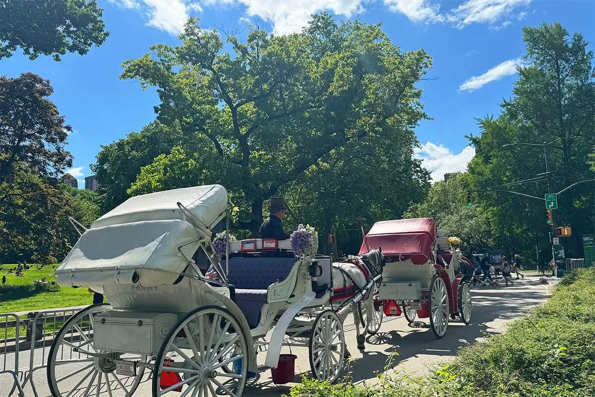 New York Central Park Carriages