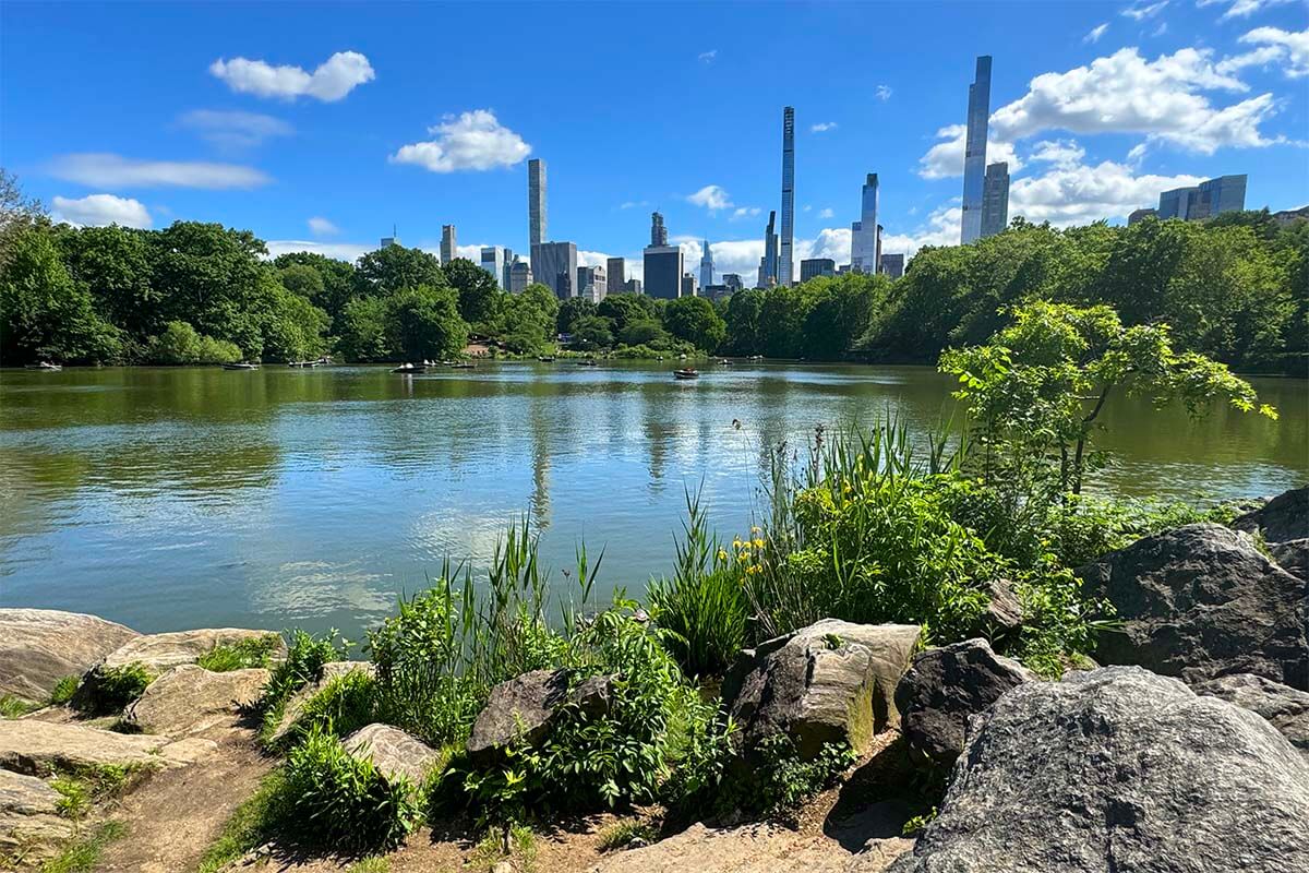 The Lake and Manhattan views from Hernshead in Central Park