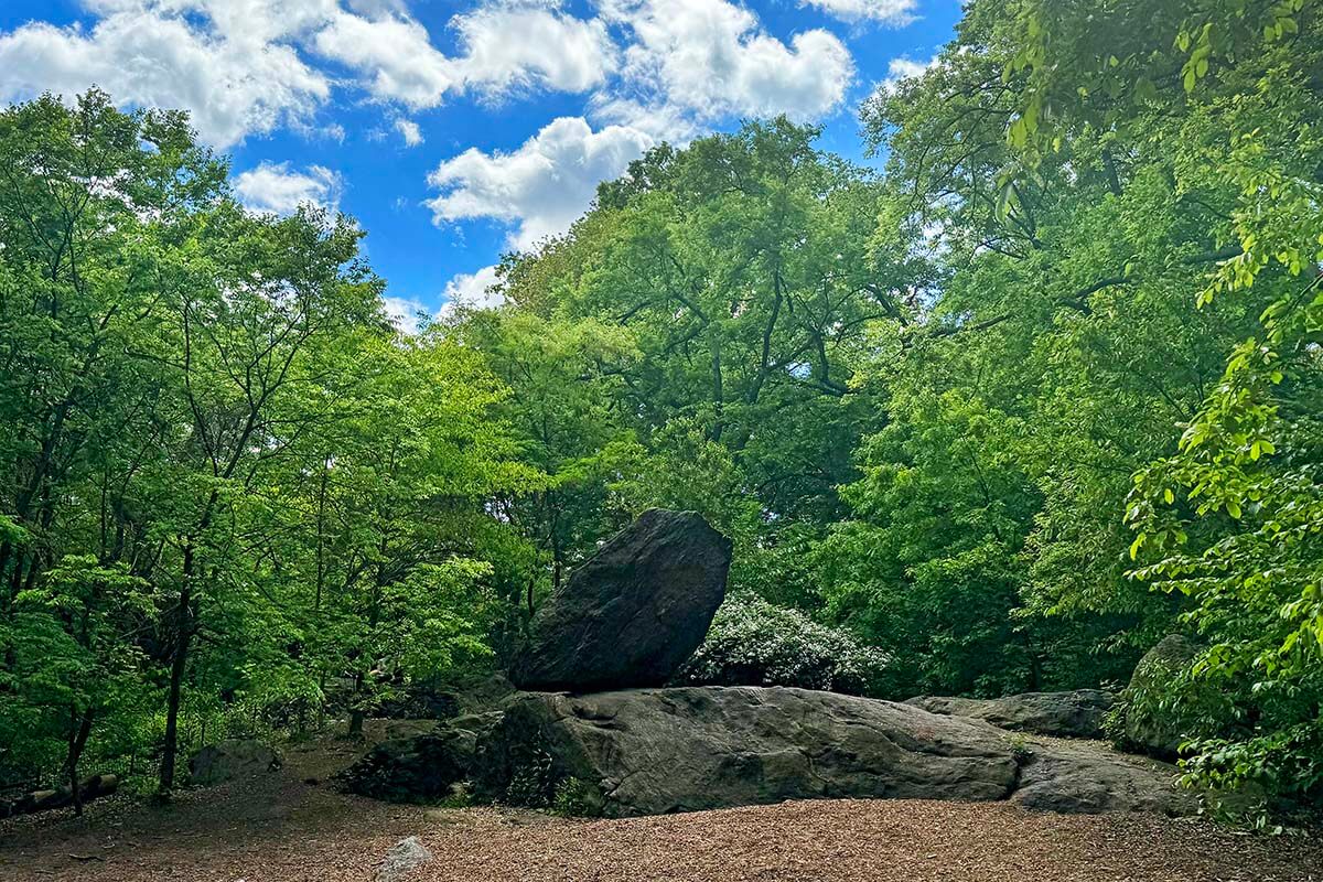 The Ramble, Central Park New York