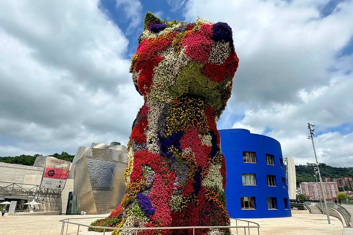 One day in Bilbao - Puppy