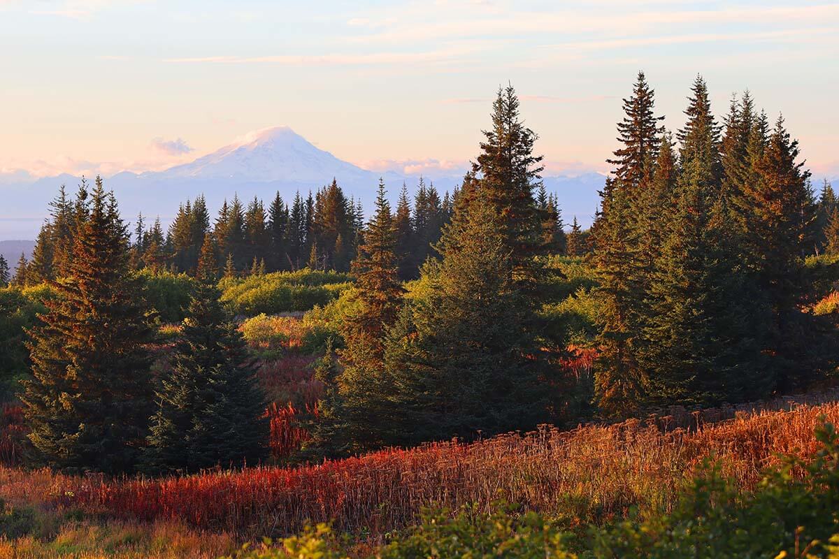 Fall scenery near Homer Alaska