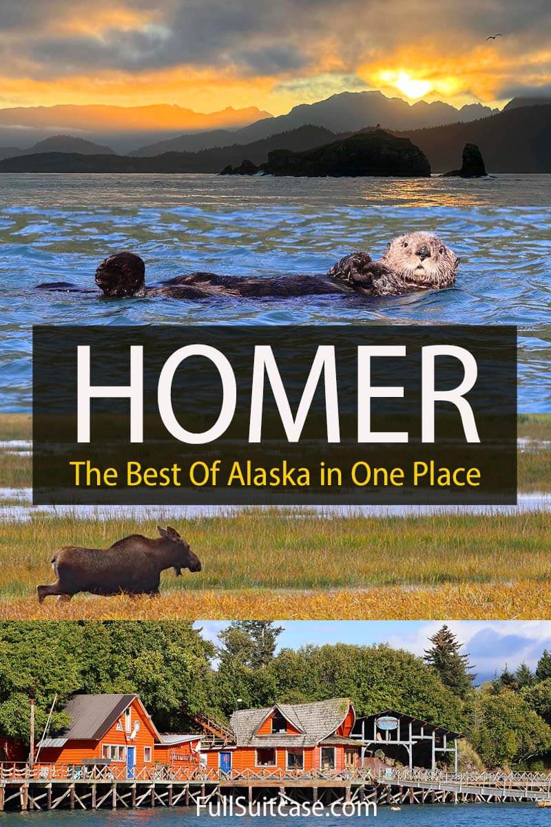 Homer - the best of Alaska in one place