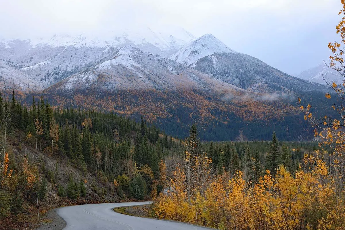 Denali Park Road Alaska road trip