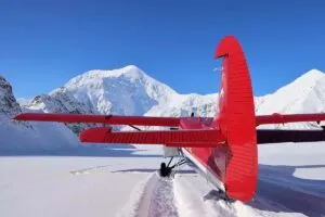 Denali flightseeing tour with glacier landing - most popular tour in Alaska