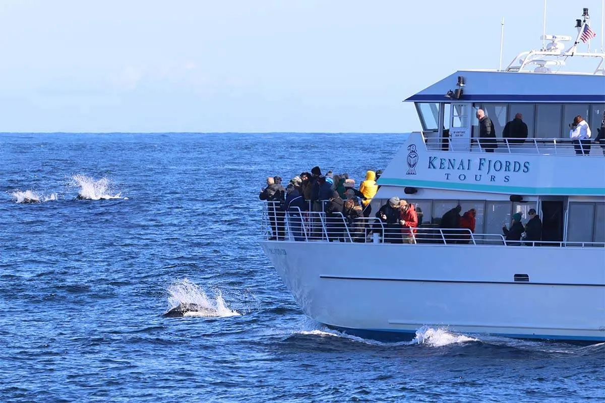 Dolphins spotted on Kenai Fjords National Park cruise