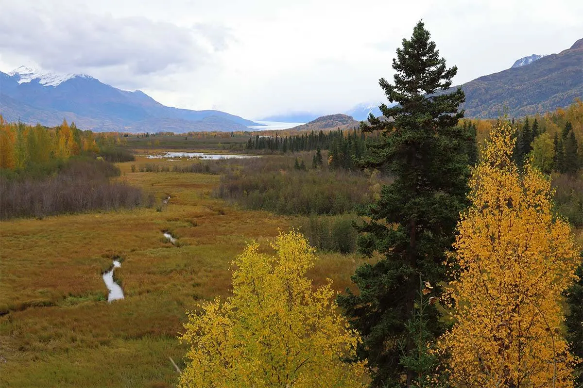 Scenery along the East Knik River Road in Alaska