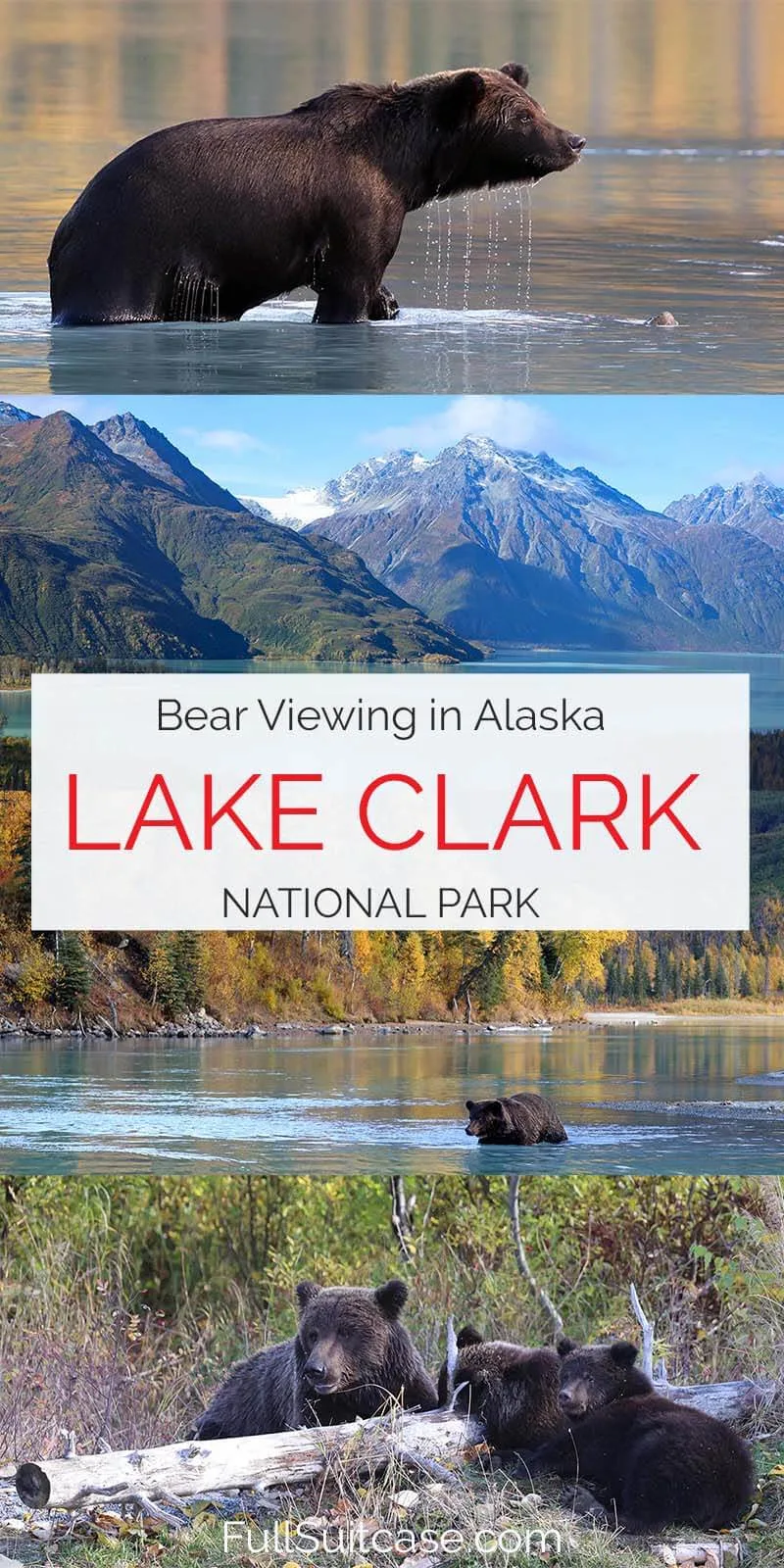 Bear viewing in Alaska Lake Clark National Park bear tour from Anchorage