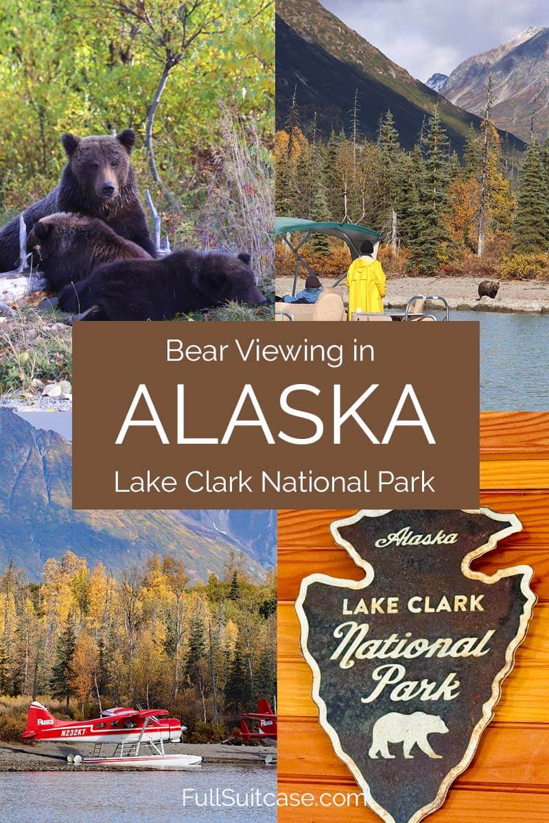 Bear viewing in Alaska - Lake Clark National Park bear tour