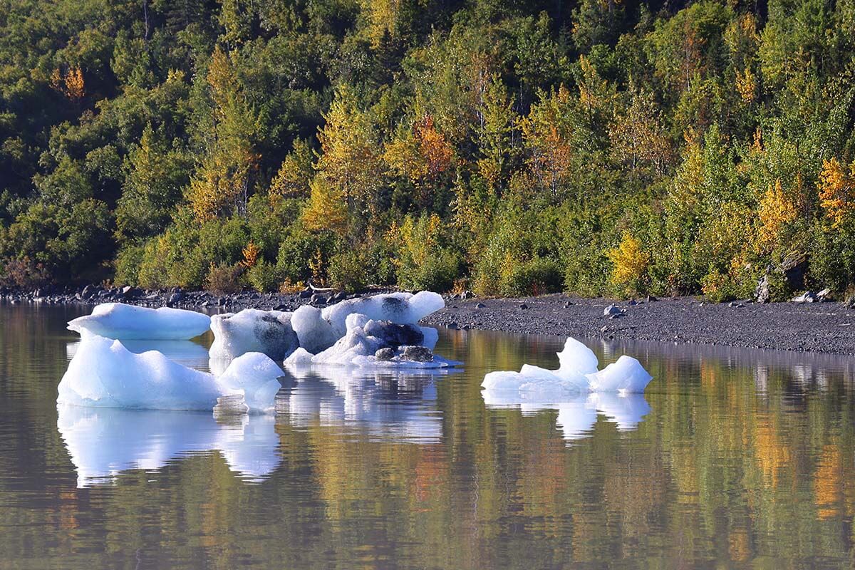 Floating icebergs on Grewingk Glacier Lake in Alaska