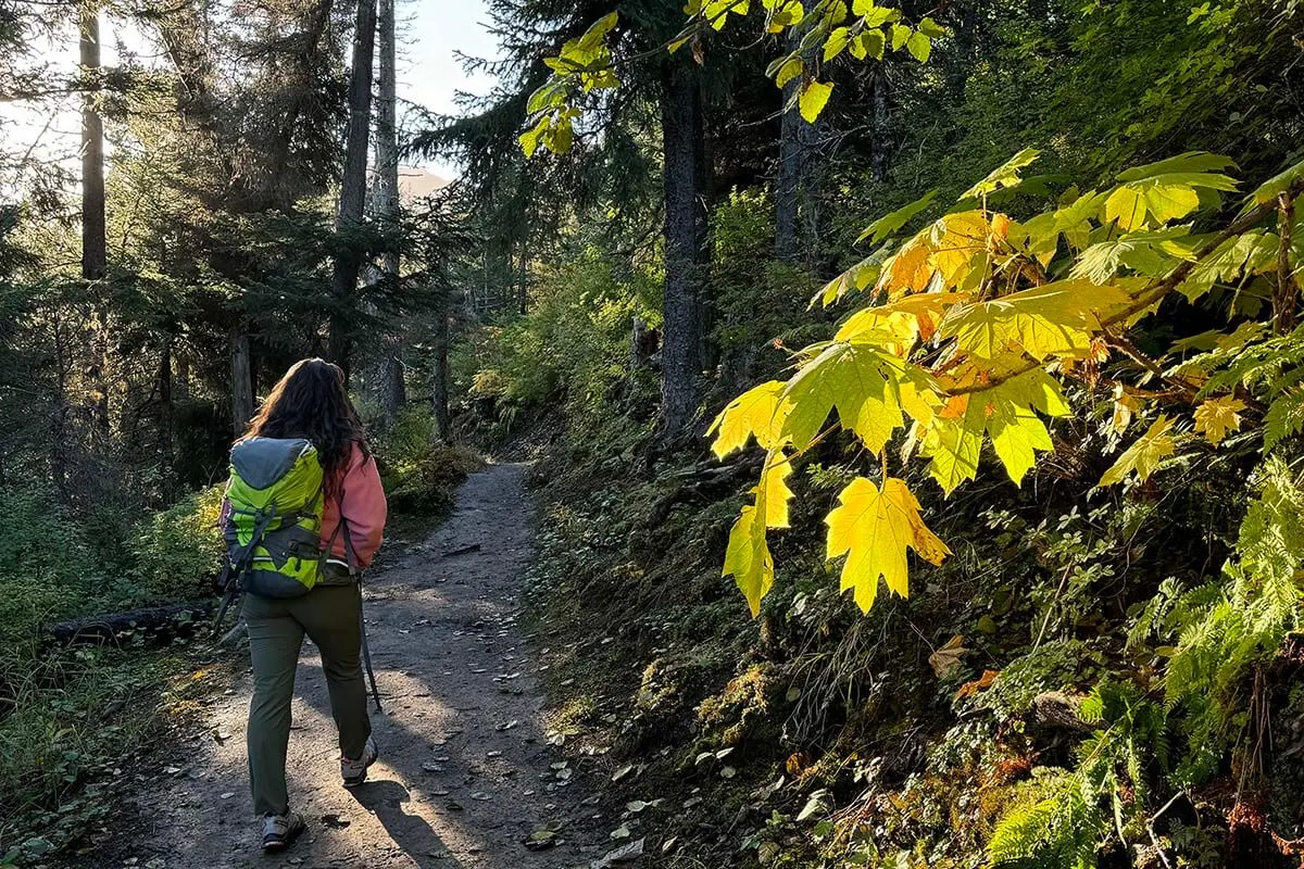 Person hiking on the Saddle Trail to Grewingk Glacier Lake in Kachemak Bay State Park Alaska