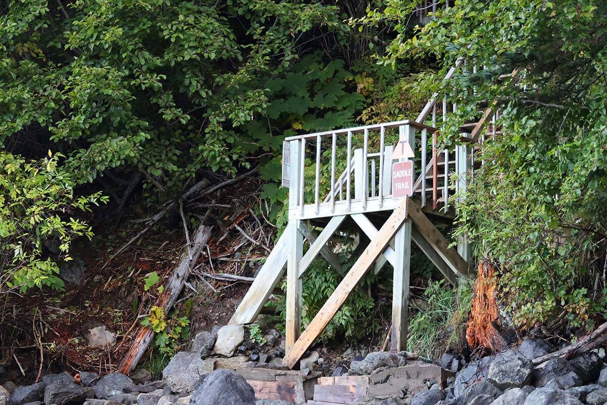 Saddle Trail staircase at Kachemak Bay State Park Alaska