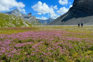 Best hike in Leukerbad, Switzerland - Gemmi Pass to Lammerenhutte trail