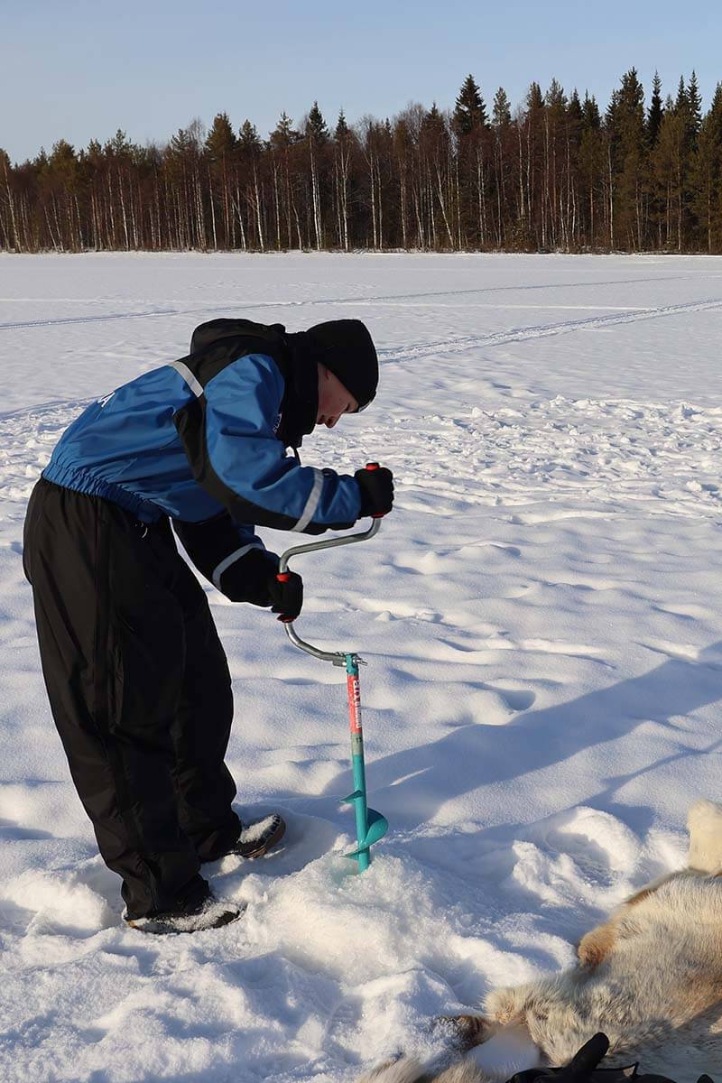 Drilling holes for ice fishing on a frozen lake in Rovaniemi in March