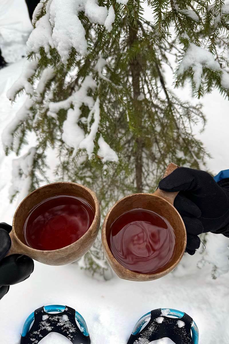 Drinking warm berry juice in a snowy forest on a snowshoeing tour in Rovaniemi