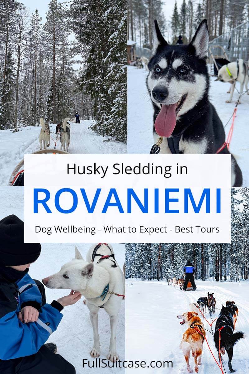 Husky sledding in Rovaniemi Finland - complete guide with best tours and tips