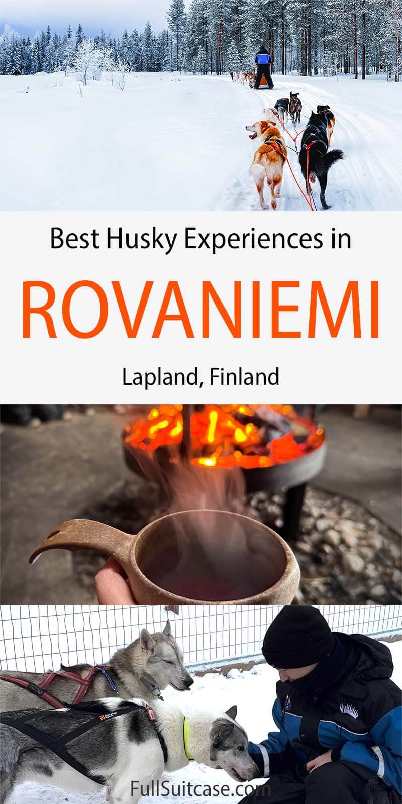 Husky sledding in Rovaniemi - best tours for an ethic dog sled experience