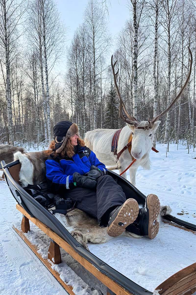 Jurga next to a reindeer in a reindeer sled in a forest near Rovaniemi Lapland