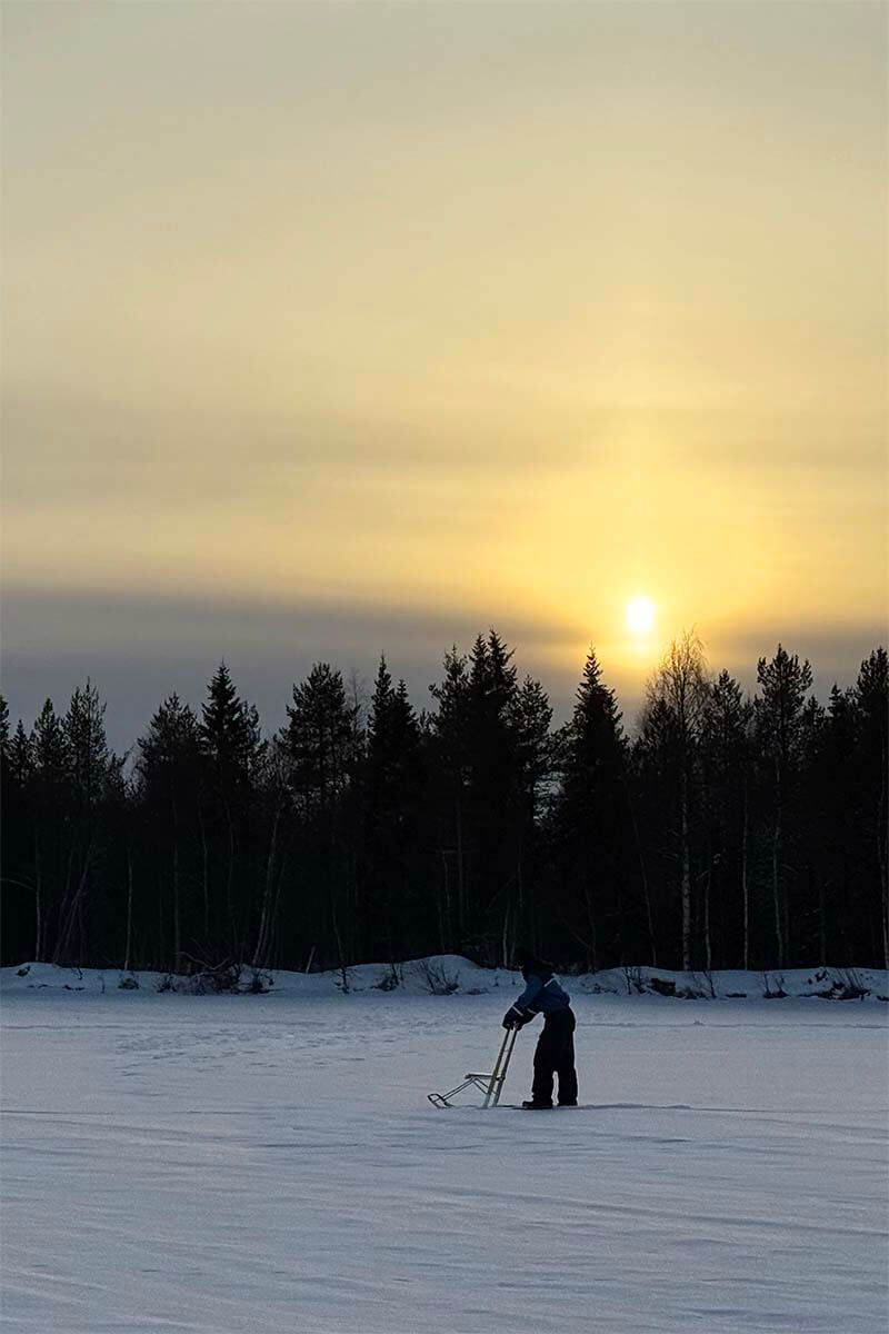 Kicksledding on a frozen lake in Lapland at sunset in March