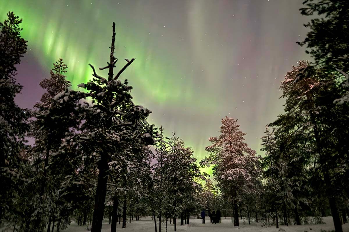 Northern Lights in Ounasvaara Rovaniemi in winter