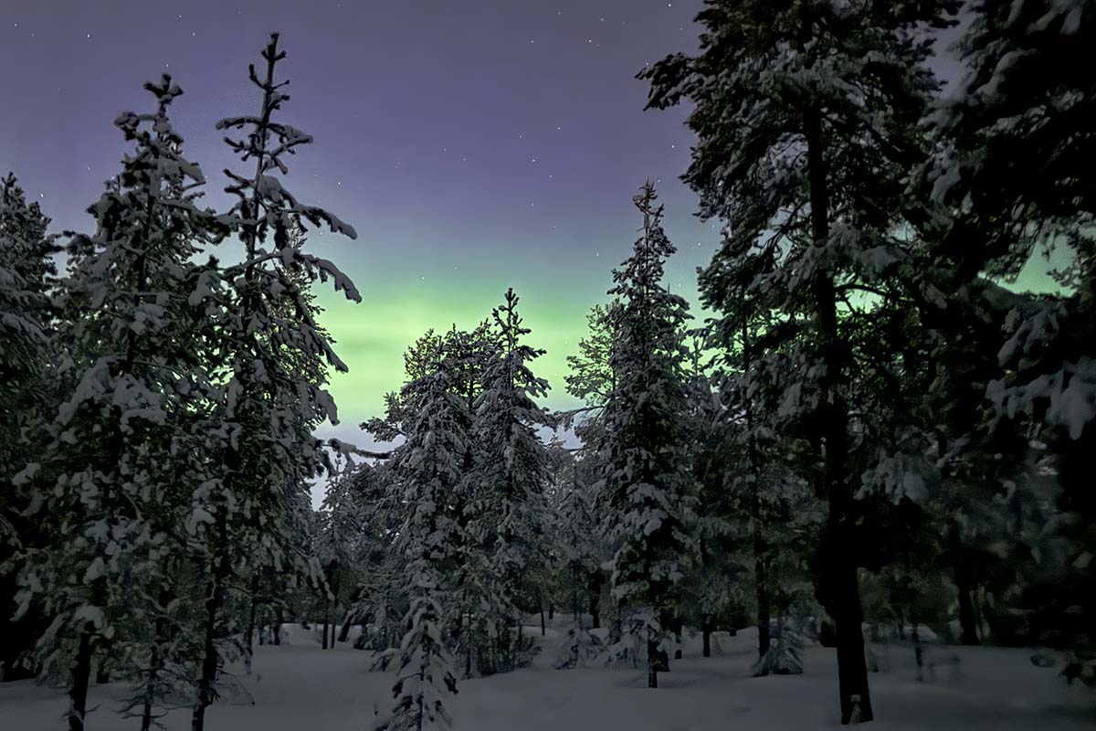 Northern Lights in Ounasvaara Rovaniemi