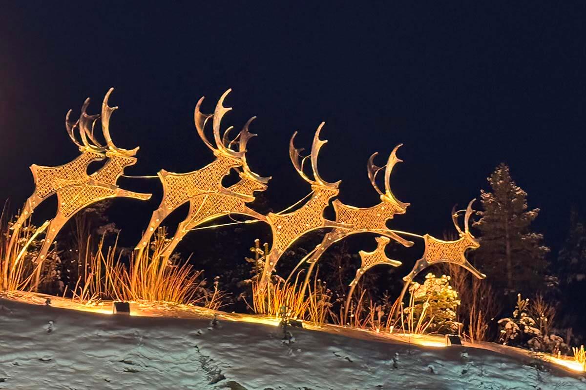 Reindeer at Rovaniemi Airport in Finland