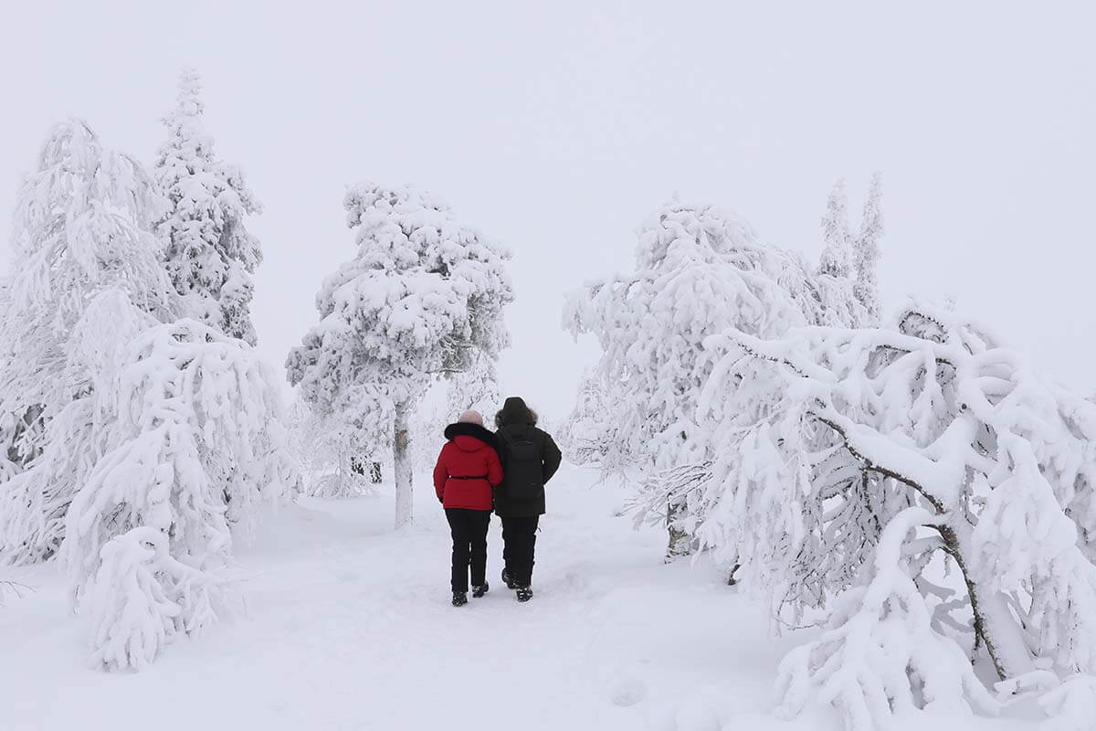 Riisitunturi National Park in Finnish Lapland in winter