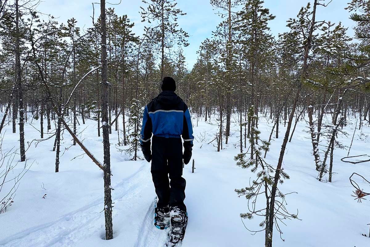 Snowshoeing in a forest near Rovaniemi in winter