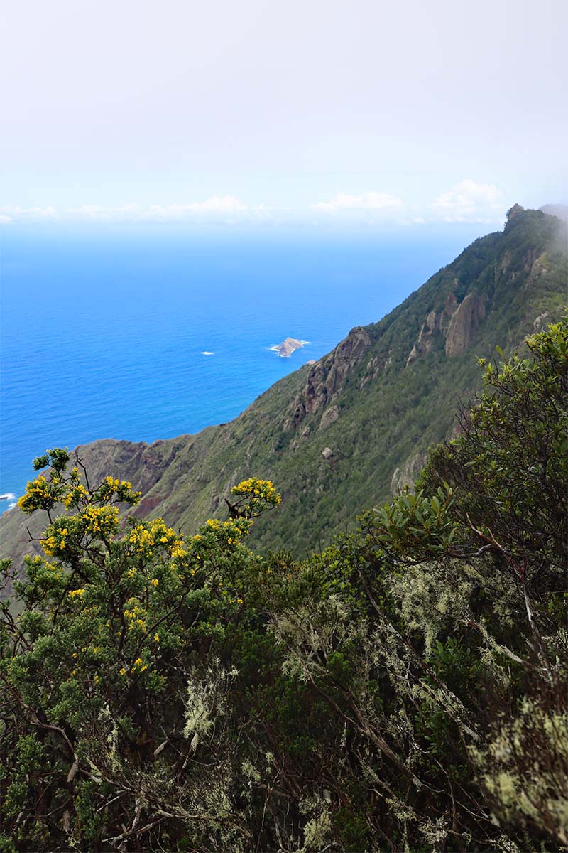Mirador Cabezo del Tejo in Anaga Rural Park in northern Tenerife