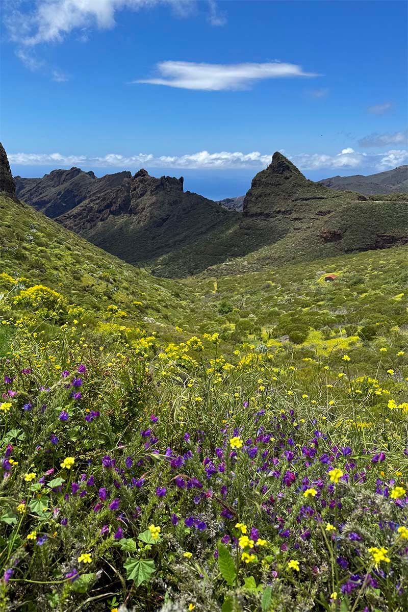 Mirador La Cruz de Hilda in Masca Valley Tenerife