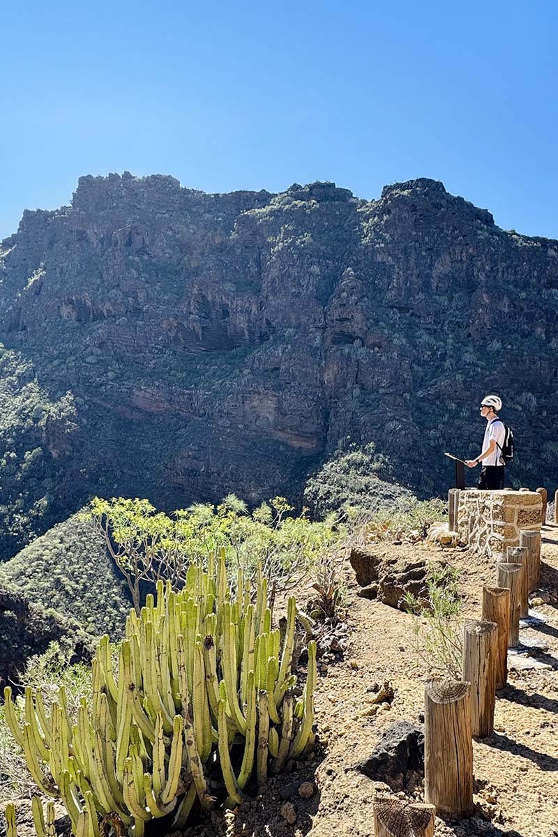 Barranco del Infierno Tenerife