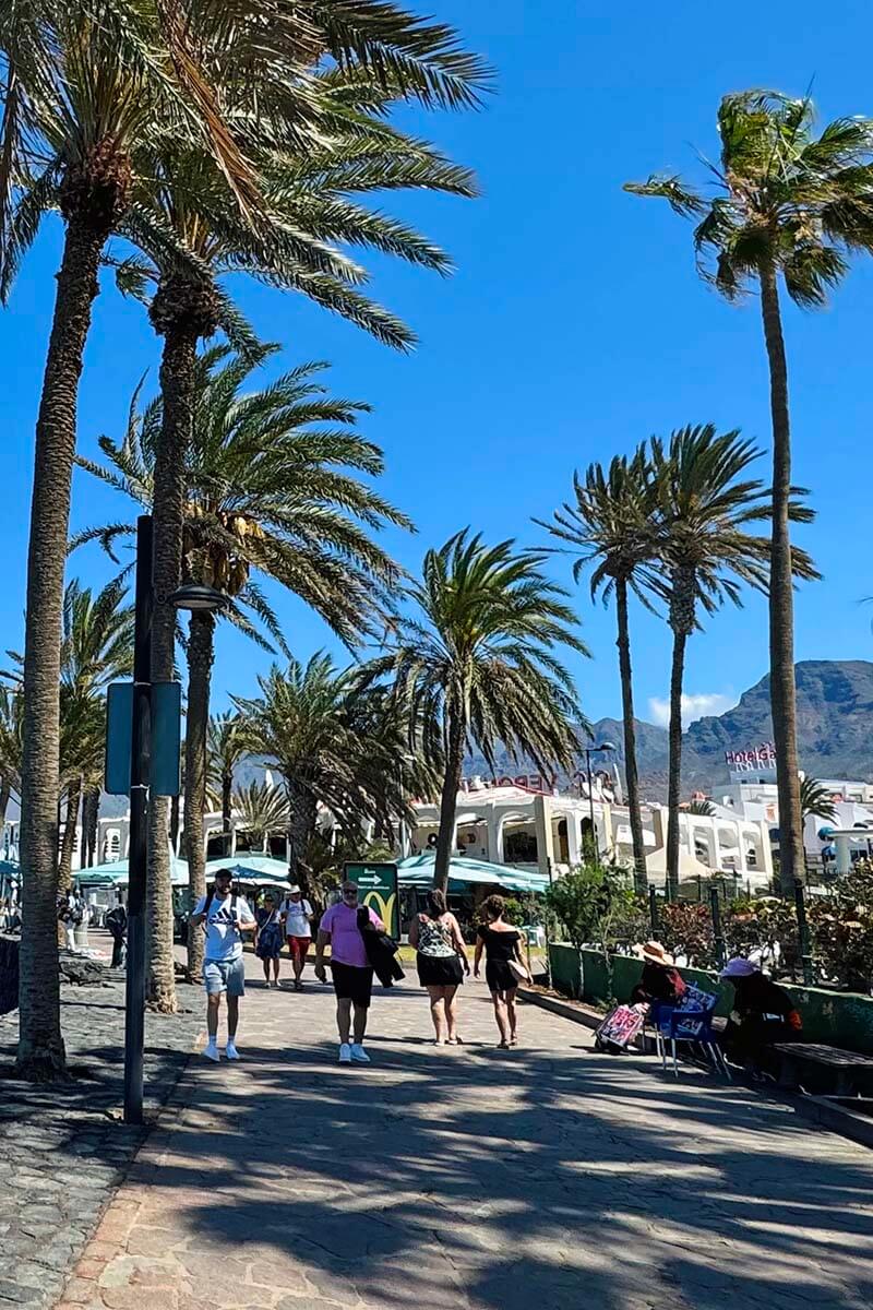 Waterfront promenade at Playa de Les Americas in Tenerife