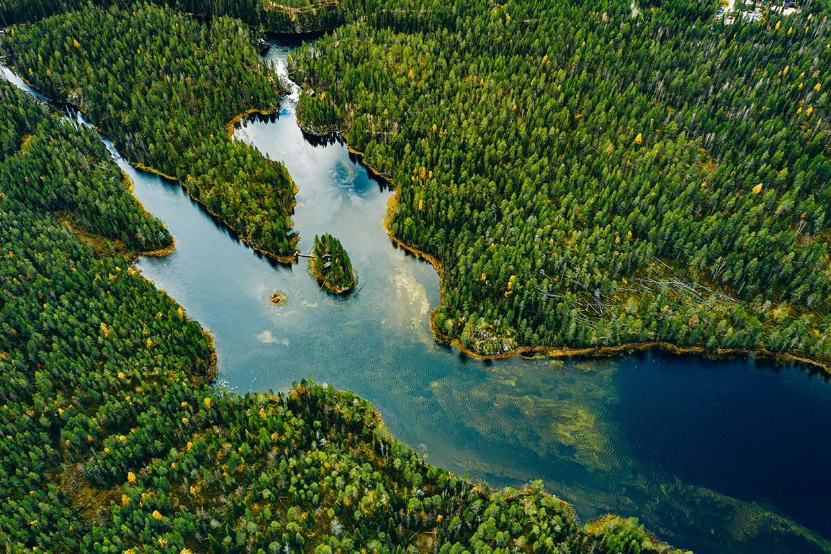 Forests, lakes, and rivers in Finnish Lapland in summer
