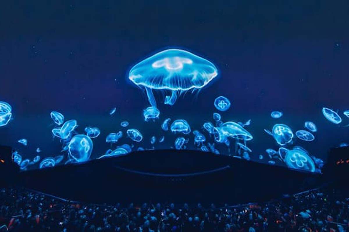 The Sphere Experience Postcard from Earth - Las Vegas