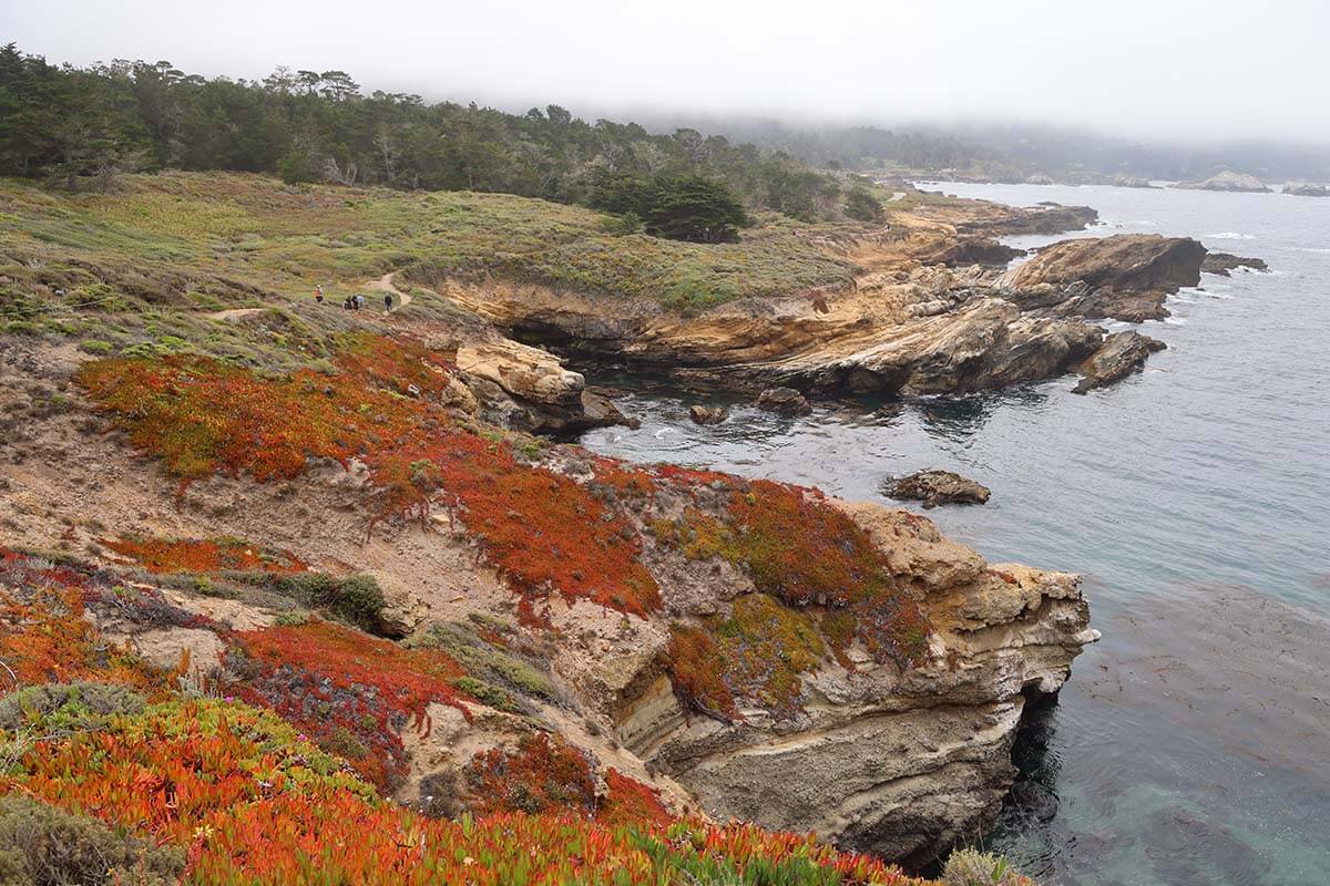 Point Lobos State Park in California