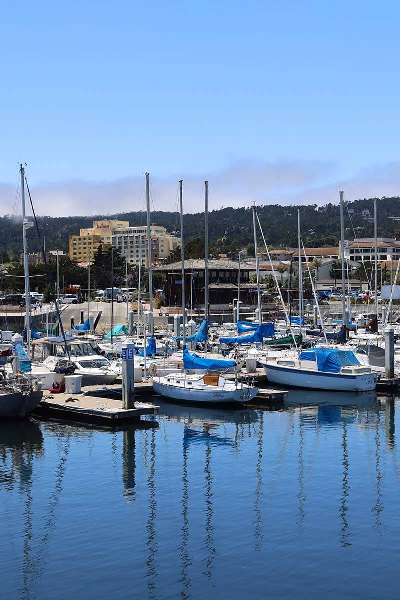 Monterey harbor boats
