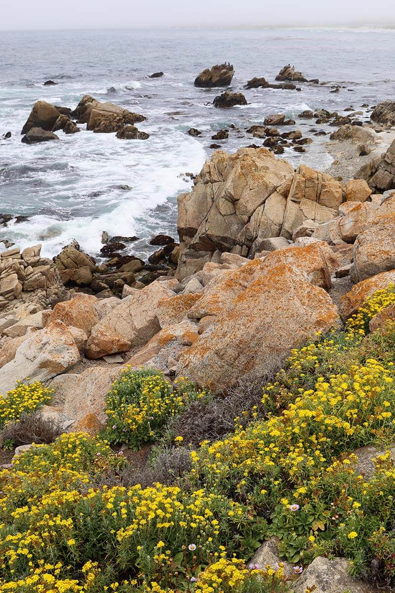 Pebble Beach 17-Mile Drive in Monterey California