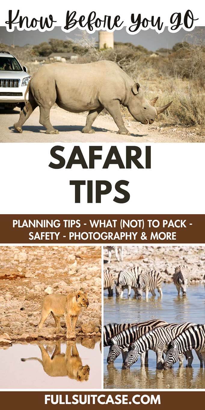 Safari tips plus essential things to know before planning your first African safari