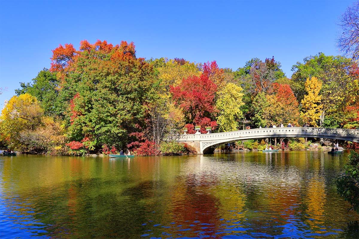 Colorful foliage at Bow Bridge in Central Park in late fall