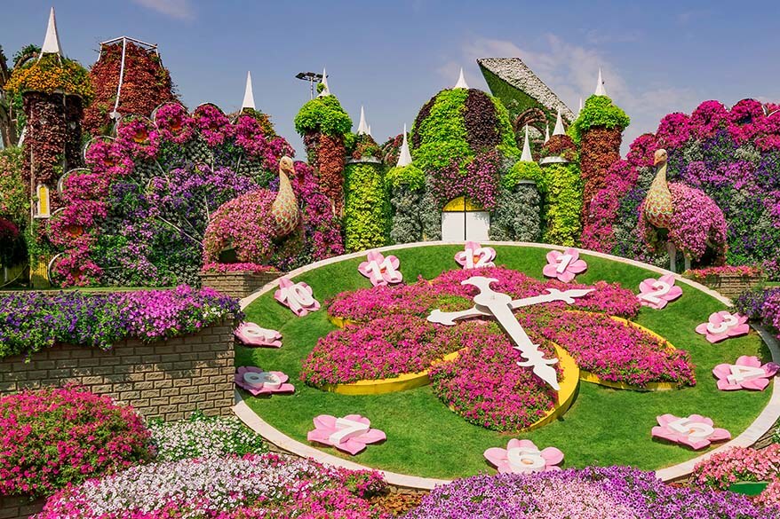 Dubai Miracle Garden - places to visit with kids in Dubai UAE